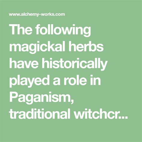 Exploring the Role of Herbalism and Plant Magick in the US Witchcraft Team